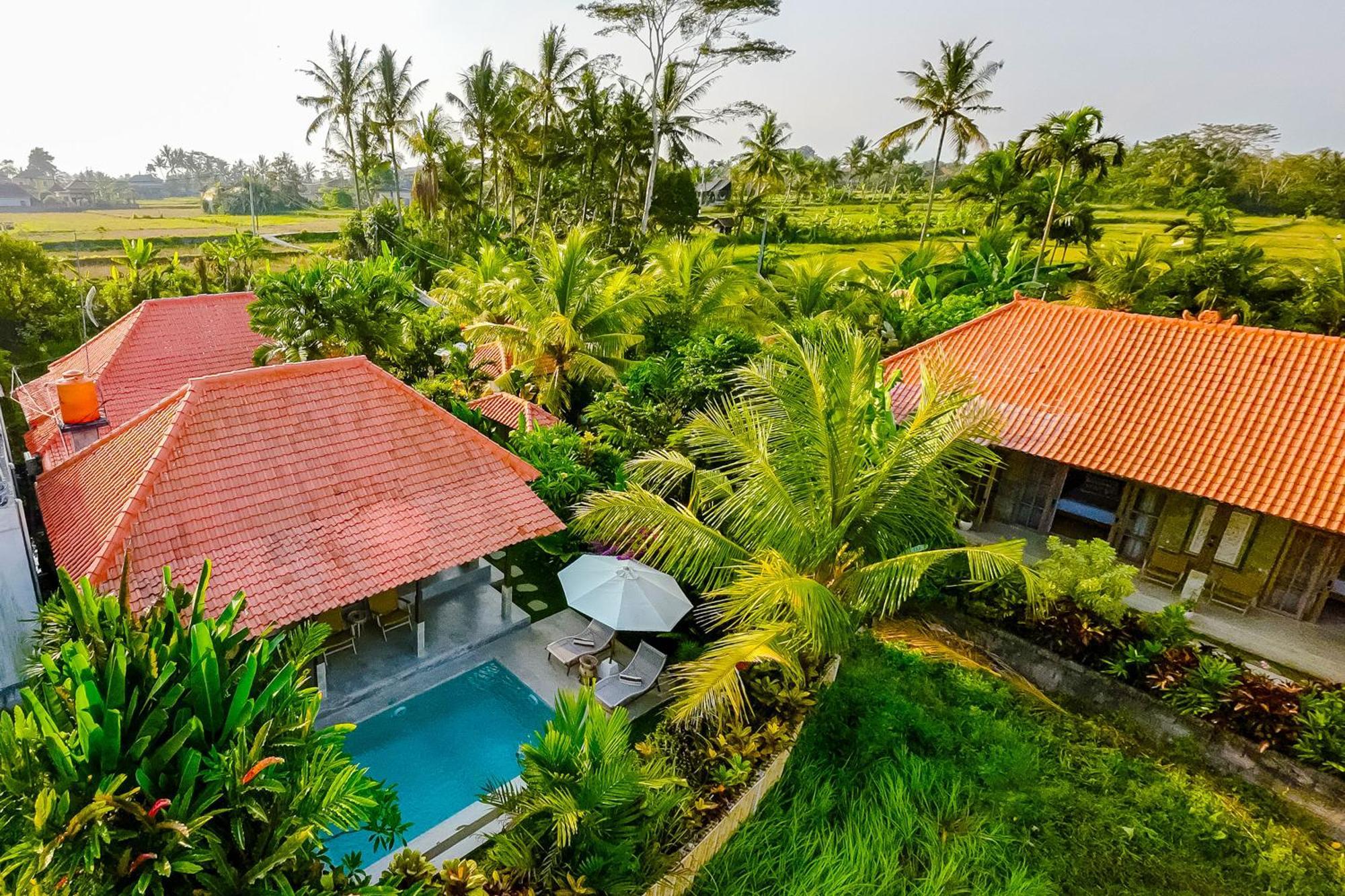 Nyaman Villas By Evdekimi Ubud ภายนอก รูปภาพ