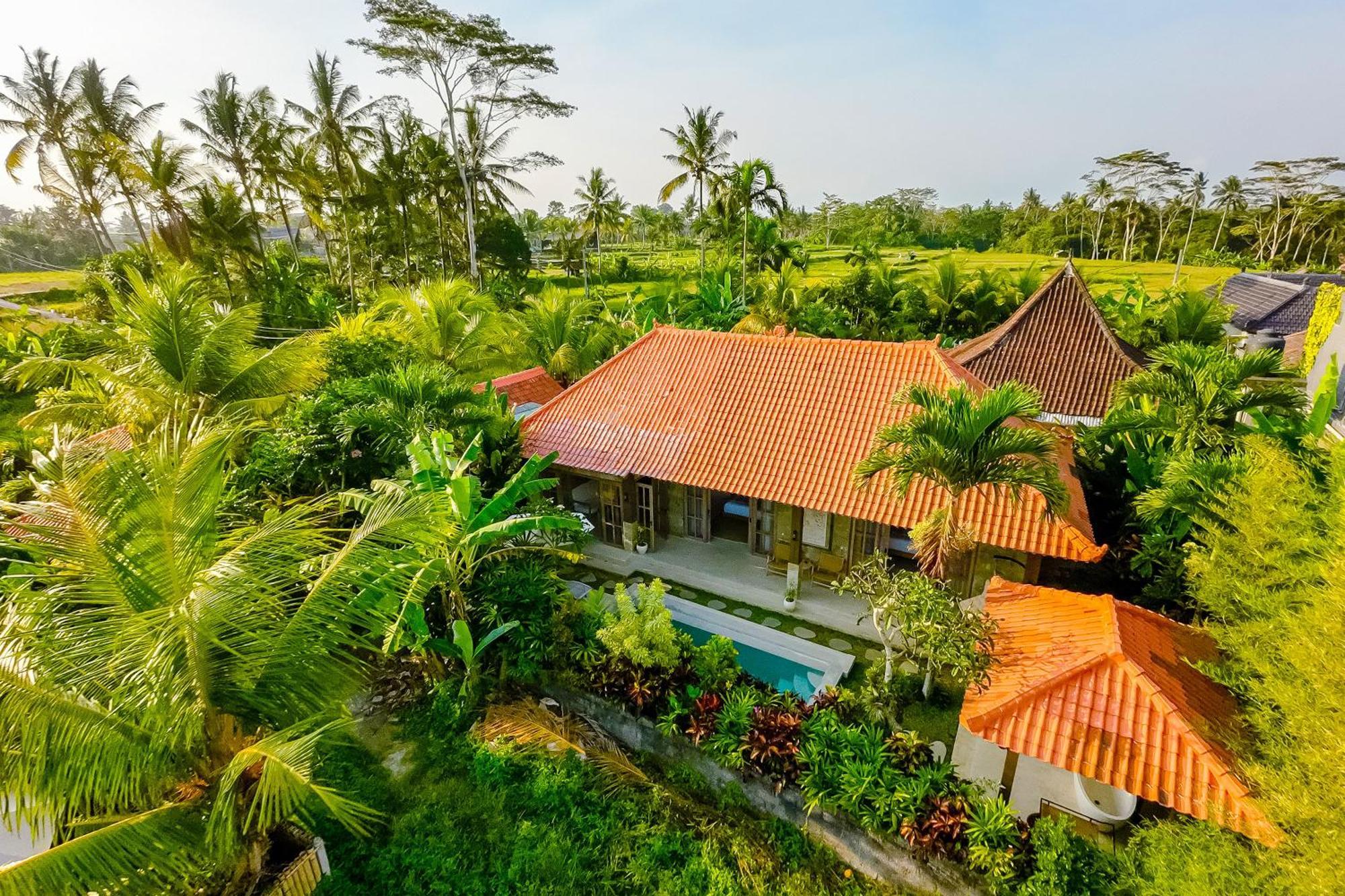 Nyaman Villas By Evdekimi Ubud ภายนอก รูปภาพ